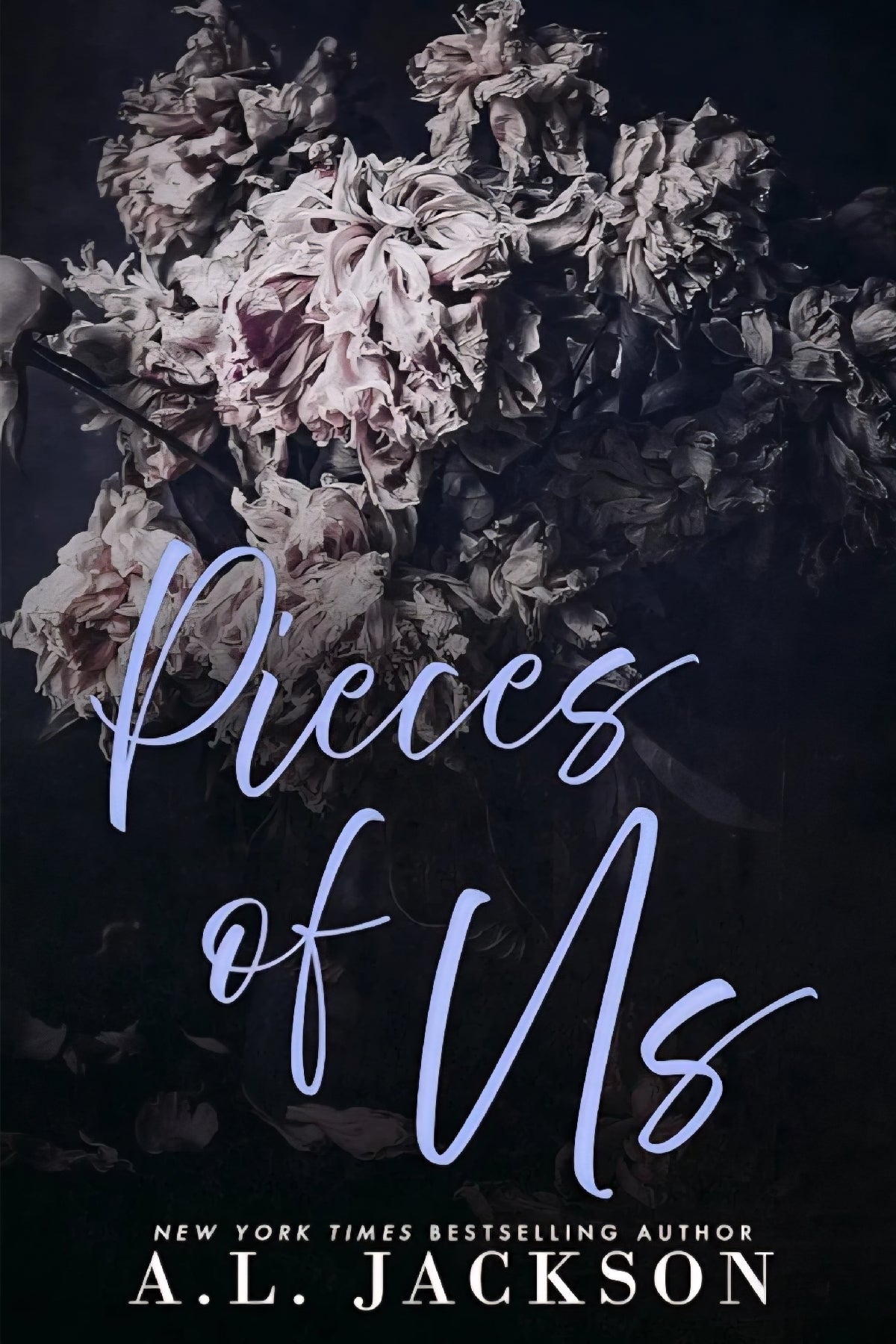 Pieces of Us (discreet) - Signed