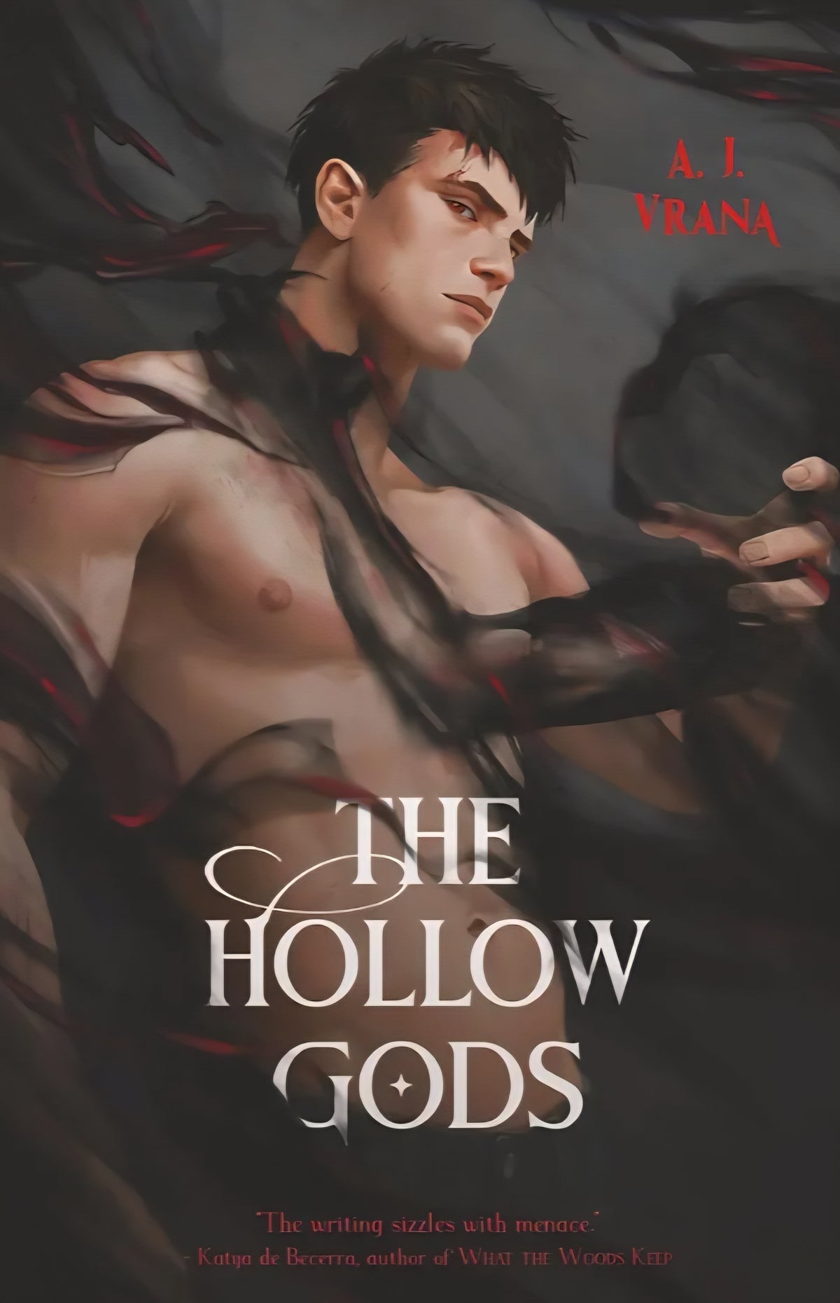 The Hollow Gods (Chaos Cycle) - Signed